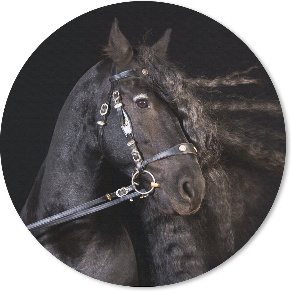Muismat rond 50x50 cm - Mousepad Paard - Halster - Manen - Ronde muismatten