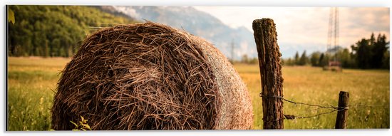 Dibond - Bergen - Landschap - Gras - Hout - Hooi - 60x20 cm Foto op Aluminium (Met Ophangsysteem)