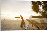 Acrylglas - Rij Surfplanken op het Strand tijdens Avondzon - 75x50 cm Foto op Acrylglas (Met Ophangsysteem)