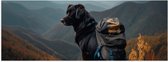 Poster (Mat) - Reizende Hond met Backpack op Top van de Berg - 60x20 cm Foto op Posterpapier met een Matte look