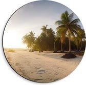 Dibond Muurcirkel - Felle Zonnestralen over het Strand en Palmbomen - 40x40 cm Foto op Aluminium Muurcirkel (met ophangsysteem)