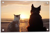 Tuinposter – Kat en Hond op het Strand Kijkend naar Zonsondergang - 60x40 cm Foto op Tuinposter (wanddecoratie voor buiten en binnen)