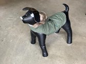 Manteau pour chien Flamingo Lennox - Longueur dos 35 cm - Vert