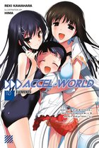 Accel World 10 - Accel World, Vol. 10 (light novel)