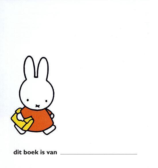 Nijntje in een oranje jurkje met een geel tasje loopt naar rechts op een witte achtergrond.