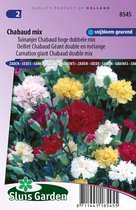 Sluis Garden - Tuinanjer, Anjer Chabaud Mix (Dianthus)