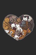 Heart Full of Cats