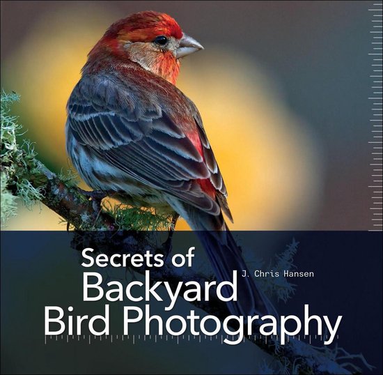 Secrets of Backyard Bird Photography - cover
