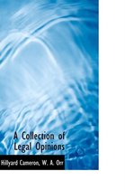 A Collection of Legal Opinions