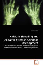Calcium Signalling and Oxidative Stress in Cartilage Development