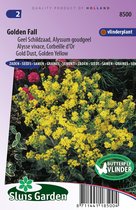 Sluis Garden - Geel Schildzaad Golden Fall (Alyssum)