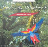 Sounds Of The Earth - Birds In The Rainforest (CD)