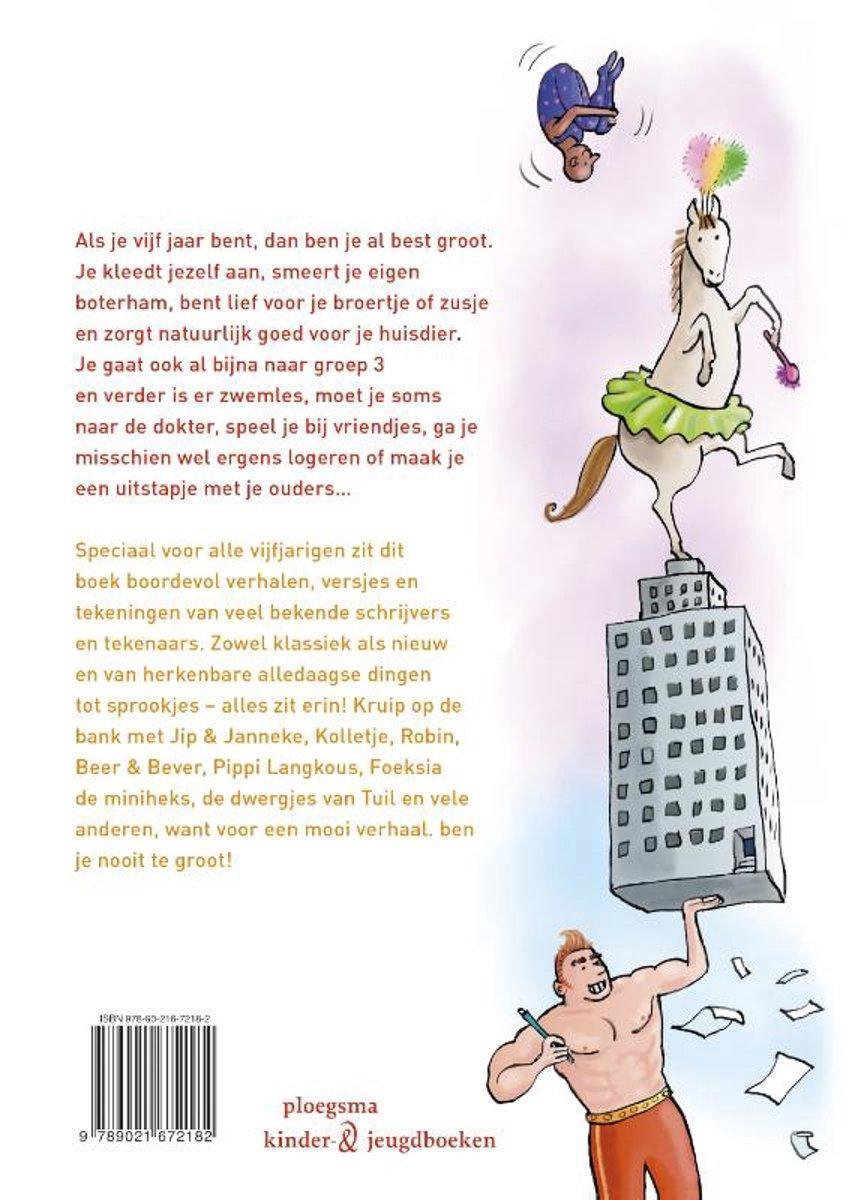 Achterkant van het boek "Het Grote Voorleesboek" met tekst, illustratie van een paard op een gebouw en een man.