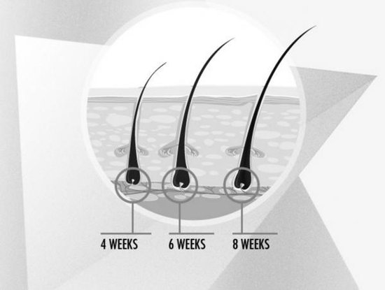 lash Wimperserum