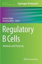 Regulatory B Cells