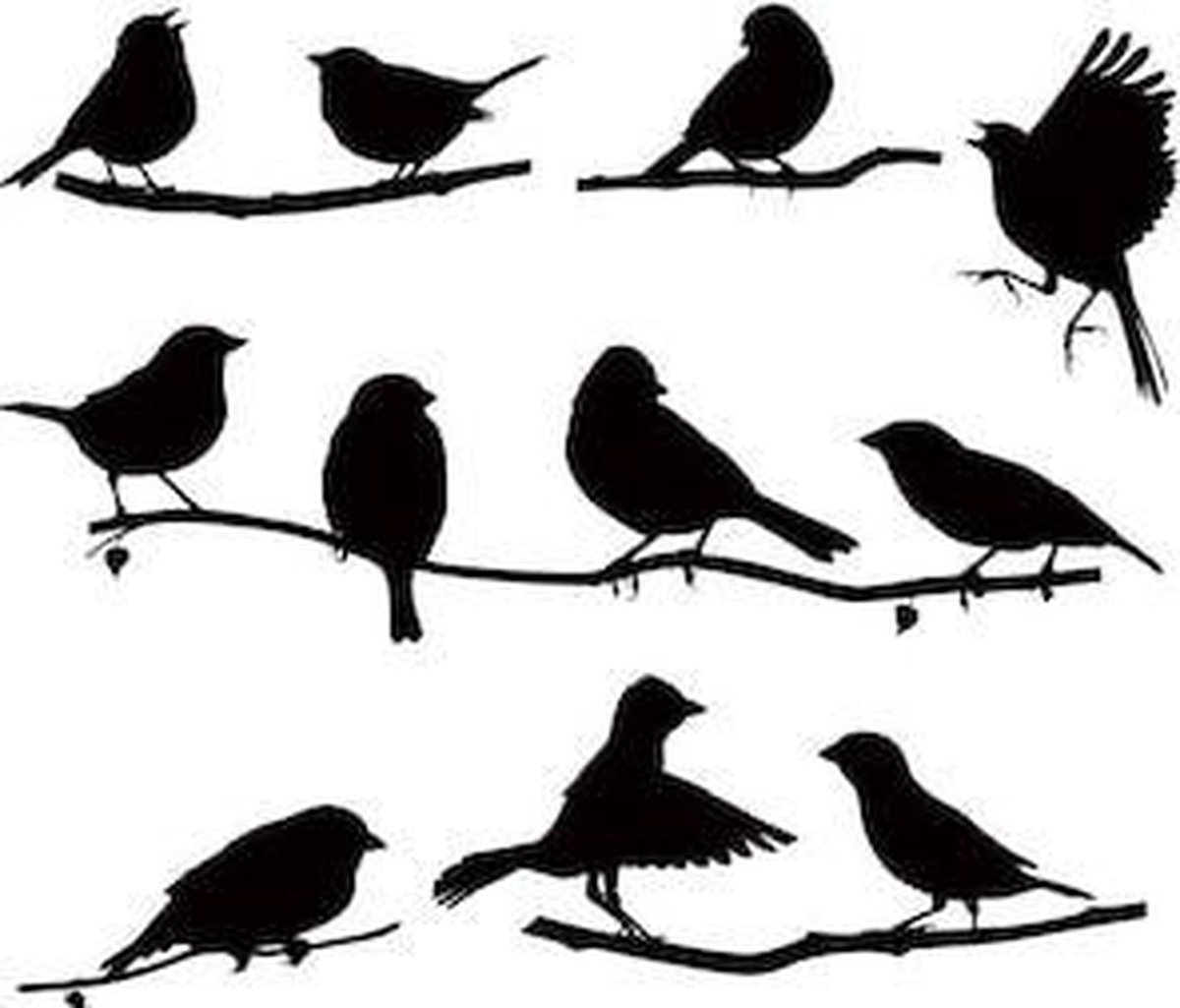 met tijd Onderhandelen Voorbeeld stickers vogels | bol.com