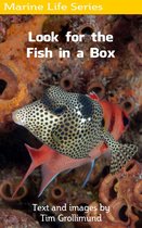 Marine Life - Look for the Fish in a Box