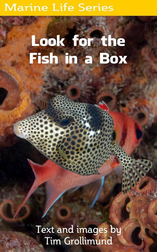 Marine Life 8 - Look for the Fish in a Box - cover
