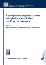 L'immigrazione irregolare via mare nella giurisprudenza italiana e nell'esperienza europea