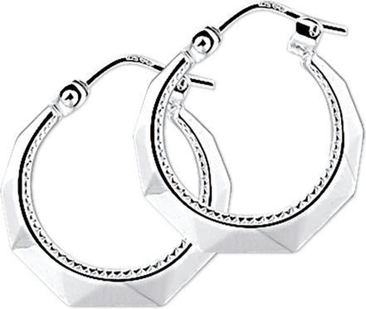 The Jewelry Collection Oorringen Lapide - Zilver
