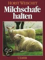 Milchschafe halten