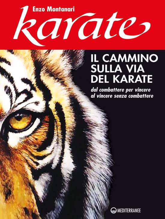 Il cammino sulla via del karate - cover