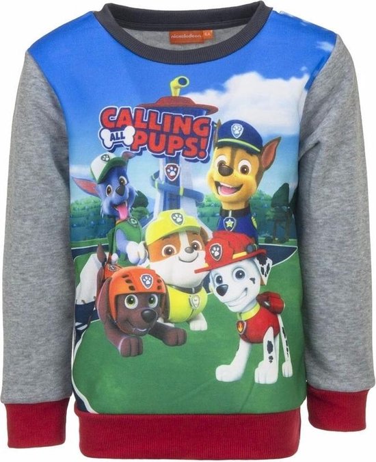Paw Patrol jongens sweater met grijze mouwen 104 4 jaar bol