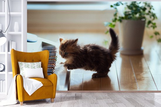 Papier peint photo peint photo vinyle - Chaton jouant avec un piano largeur 390 cm x hauteur 260 cm - Tirage photo sur papier peint (disponible en 7 tailles)
