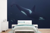 Behang - Fotobehang Groep voorbijzwemmende orka's - Breedte 390 cm x hoogte 260 cm