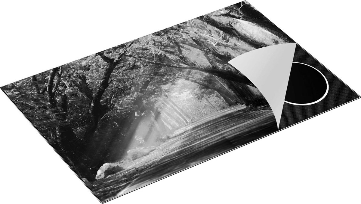 Chefcare Inductie Beschermer Weg Omringd met Bomen - Zwart Wit - 83x51,5 cm - Afdekplaat Inductie - Kookplaat Beschermer - Inductie Mat