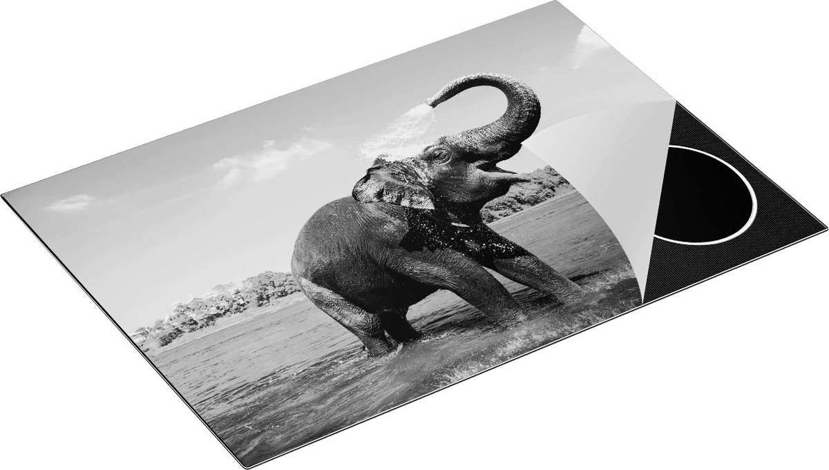 Chefcare Inductie Beschermer Vrolijke Olifant in het Water - Zwart Wit - 77x51 cm - Afdekplaat Inductie - Kookplaat Beschermer - Inductie Mat
