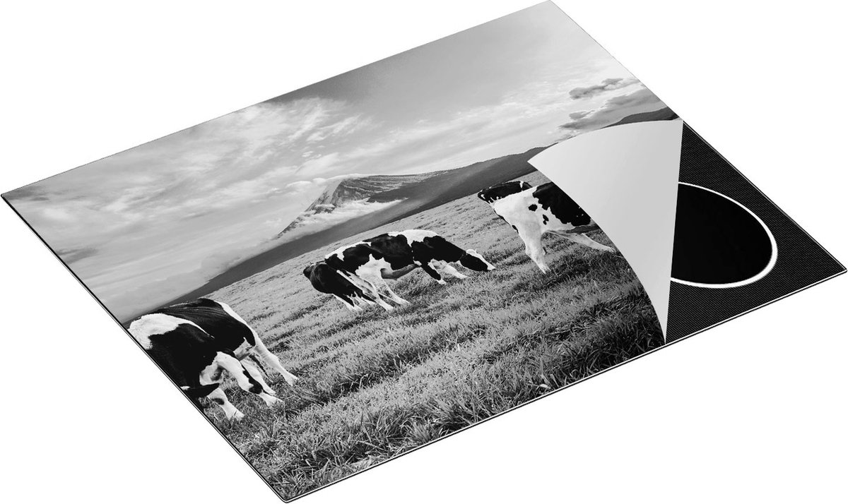 Chefcare Inductie Beschermer Koeien in de Wei - Zwart Wit - 65x50 cm - Afdekplaat Inductie - Kookplaat Beschermer - Inductie Mat