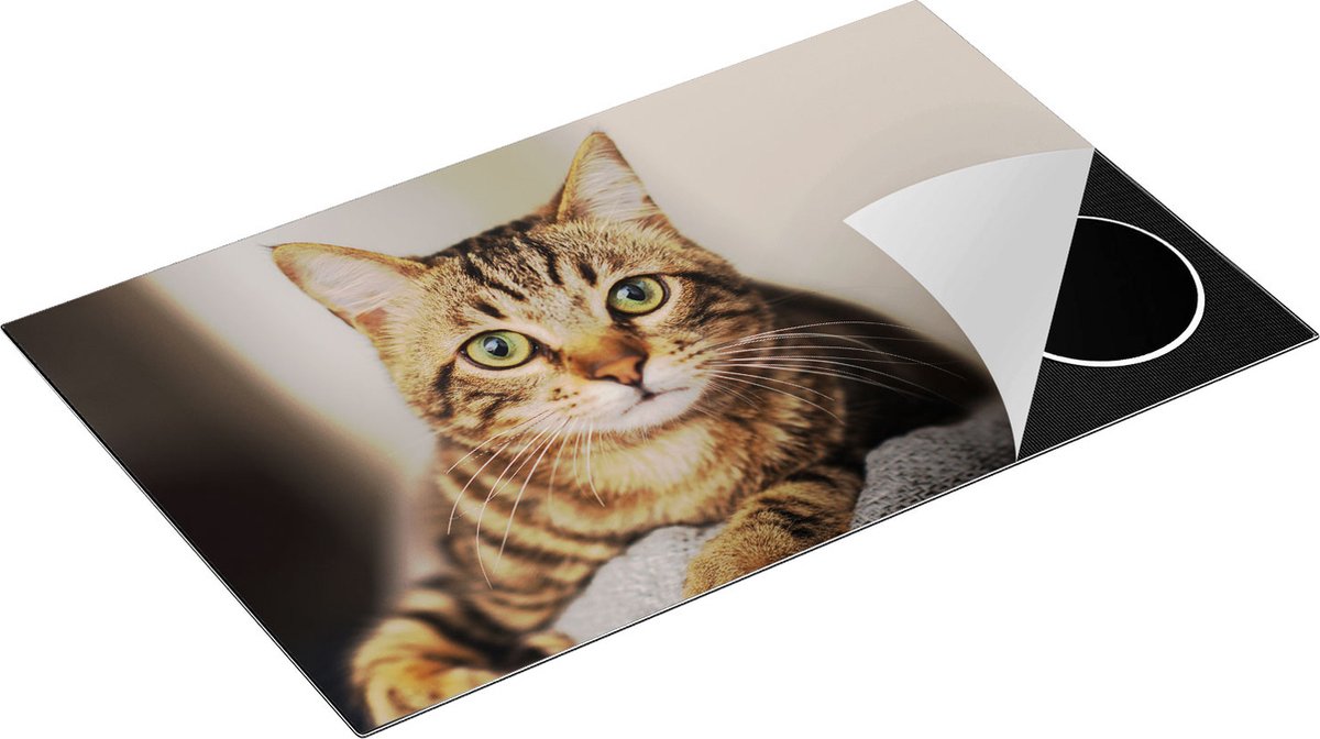 Chefcare Inductie Beschermer Kat met Wijde Ogen - 85x55 cm - Afdekplaat Inductie - Kookplaat Beschermer - Inductie Mat