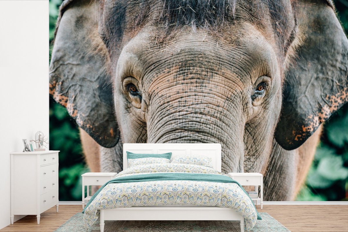 Behang - Fotobehang Close-up een olifant - Breedte 450 cm x hoogte 300 cm