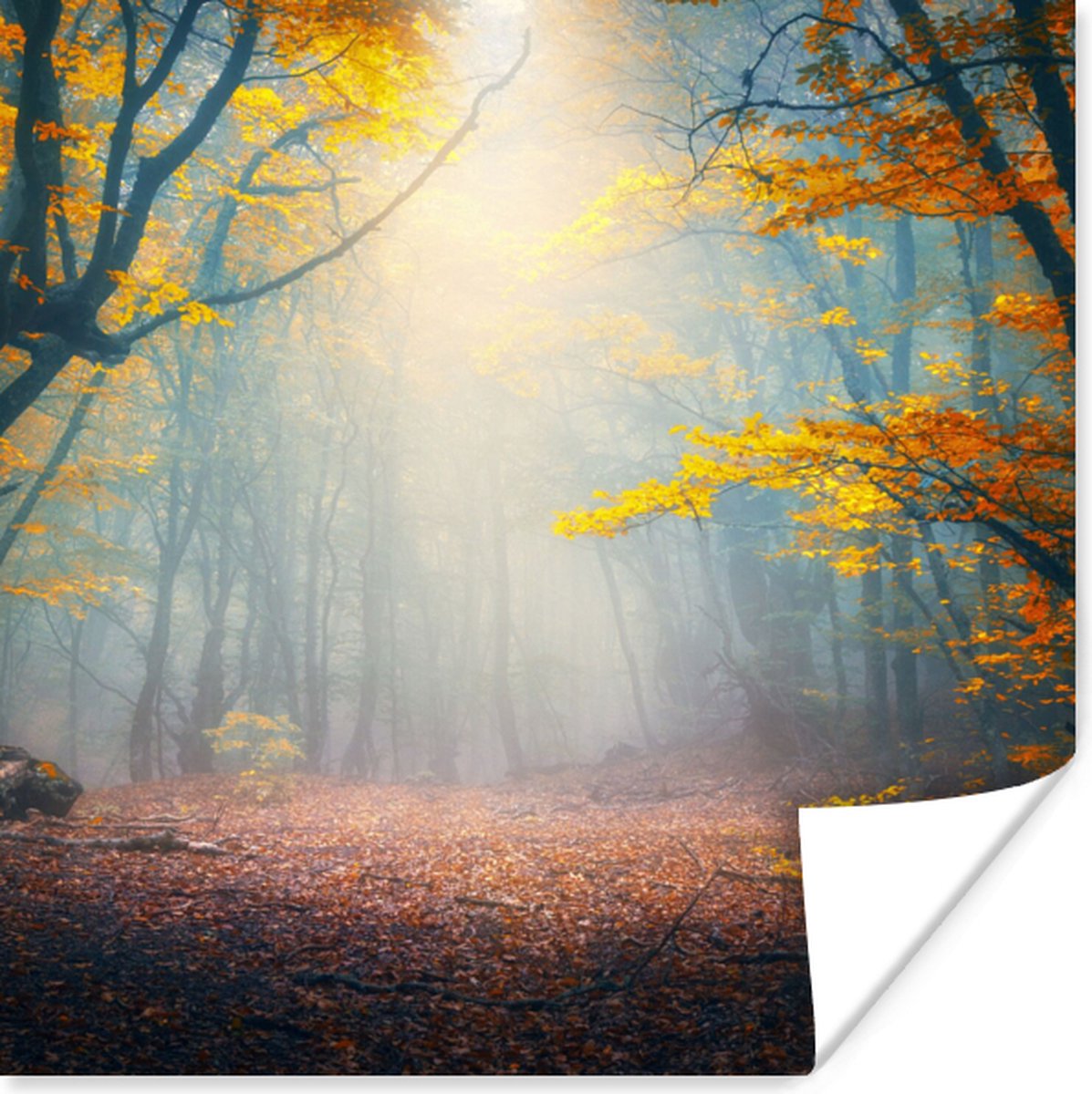 Poster Bos - Mist - Herfst - 75x75 cm