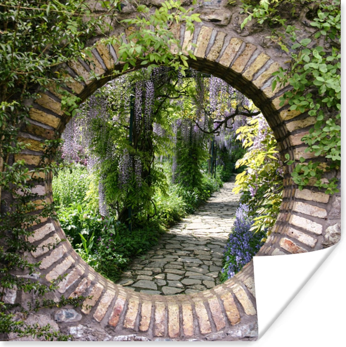 Poster Bos - Stenen - Doorkijk - Pad - 50x50 cm