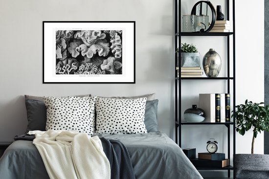 Cadre photo avec affiche - Art - Corail - Ernst Haeckel - Maîtres anciens - Nature - 90x60 cm - Cadre pour affiche