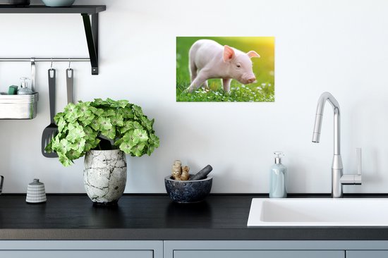 Affiche Animaux - Porcelet - Cochon - 30x20 cm