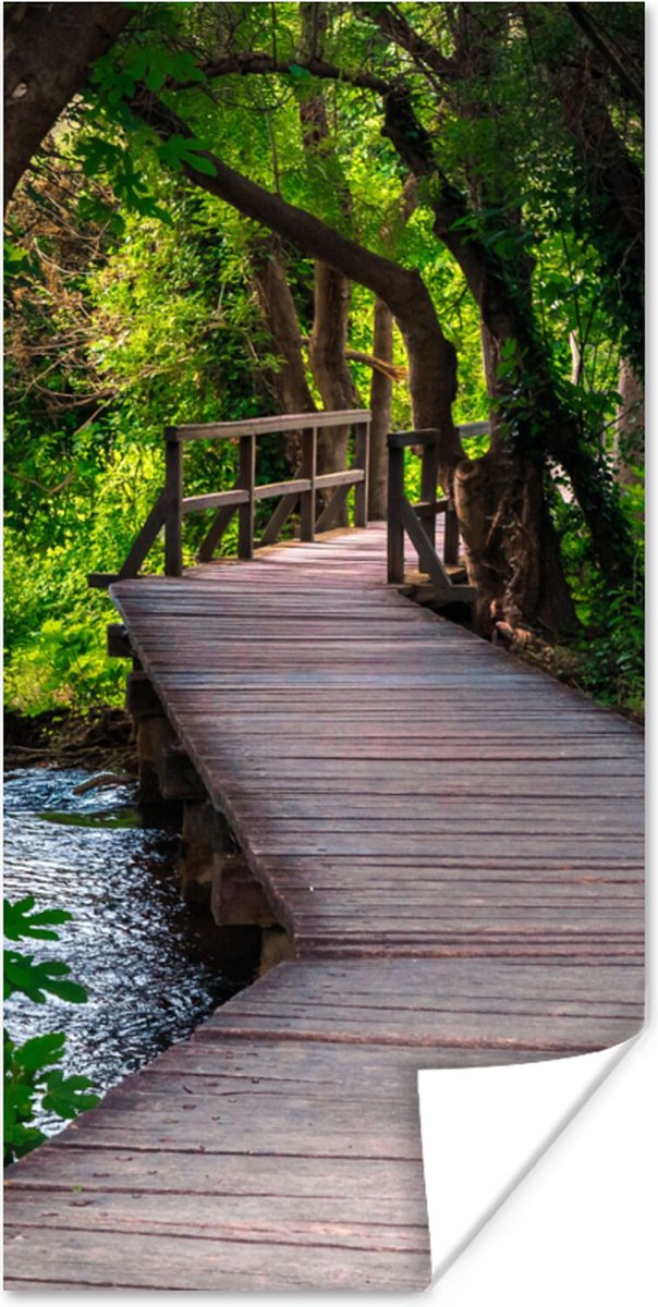 Poster Bos - Natuur - Brug - 40x80 cm