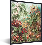 Cadre photo avec affiche - Fleurs - Art - Vintage - Nature - Botanique - 60x80 cm - Cadre pour affiche