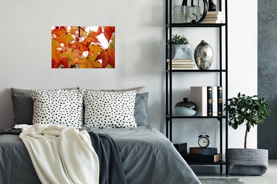 Affiche Branches d'Automne - Feuilles - Saisons - Rural - 30x20 cm