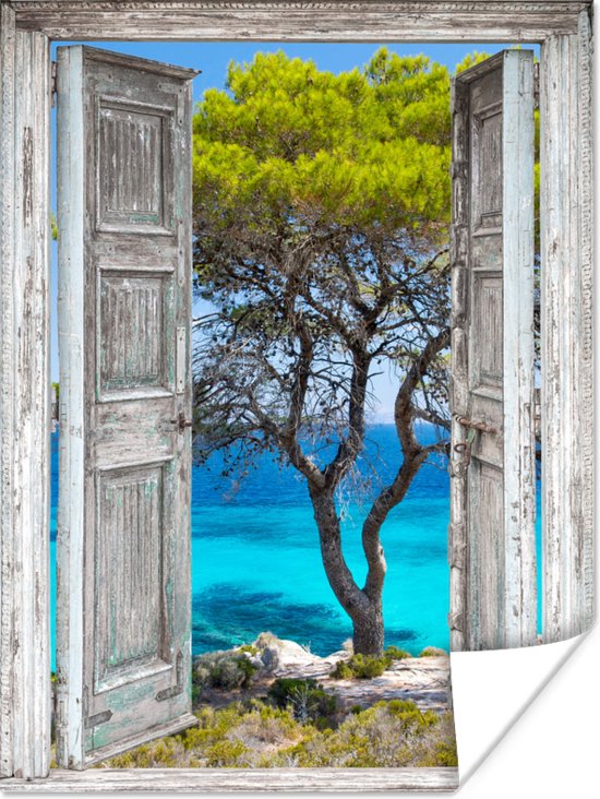 Poster Arbre - Tropical - Mer - Transparent - Plage - 30x40 cm