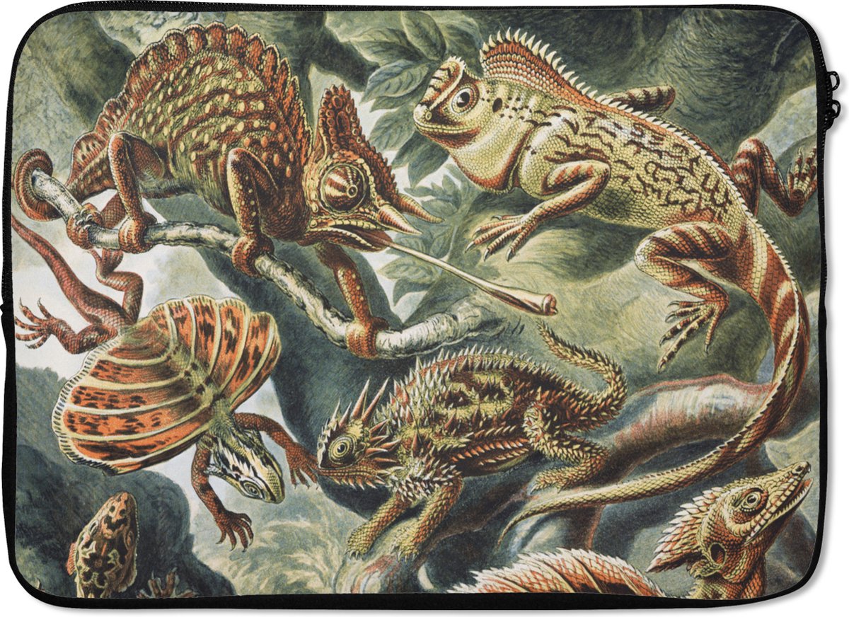 Laptophoes 13 inch - Vintage - Kunst - Ernst Haeckel - Salamanders - Dieren - Laptop sleeve - Binnenmaat 32x22,5 cm - Zwarte achterkant