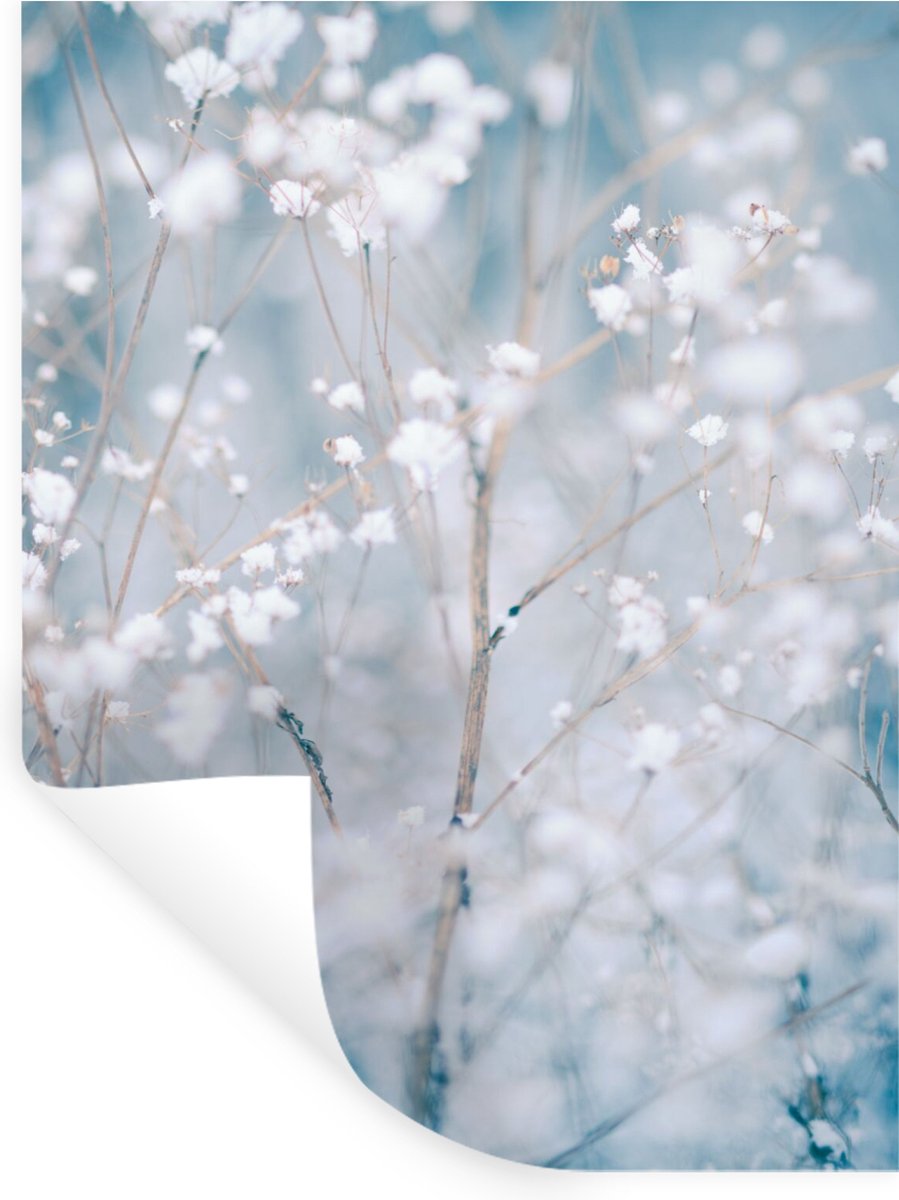 Muurstickers - Sticker Folie - Takken - Sneeuw - Winter - Natuur - Botanisch - 60x80 cm - 