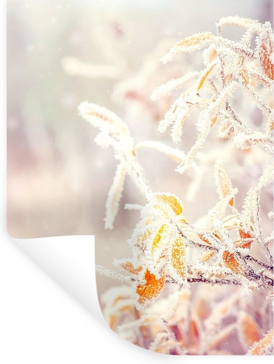 Muurstickers - Sticker Folie - Winter - Takken - Sneeuw - Natuur - 60x80 cm - Plakfolie - Muurstickers Kinderkamer - Zelfklevend Behang - Zelfklevend behangpapier - Stickerfolie