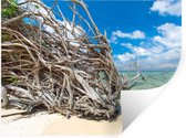 Stickers Stickers muraux - Plage - Branches - Tropical - Mer - 80x60 cm - Film adhésif