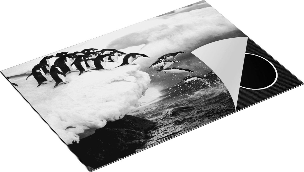 Chefcare Inductie Beschermer Kudde Pinguïns Springen vanaf een Rots - Zwart Wit - 76x51,5 cm - Afdekplaat Inductie - Kookplaat Beschermer - Inductie Mat