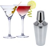 Set van 4x Martini cocktailglazen met cocktailshaker RVS - 220 ml - Cocktails drinken - Cocktails