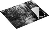 Chefcare Inductie Beschermer Voetpad in het Bos - Zwart Wit - 65x50 cm - Afdekplaat Inductie - Kookplaat Beschermer - Inductie Mat