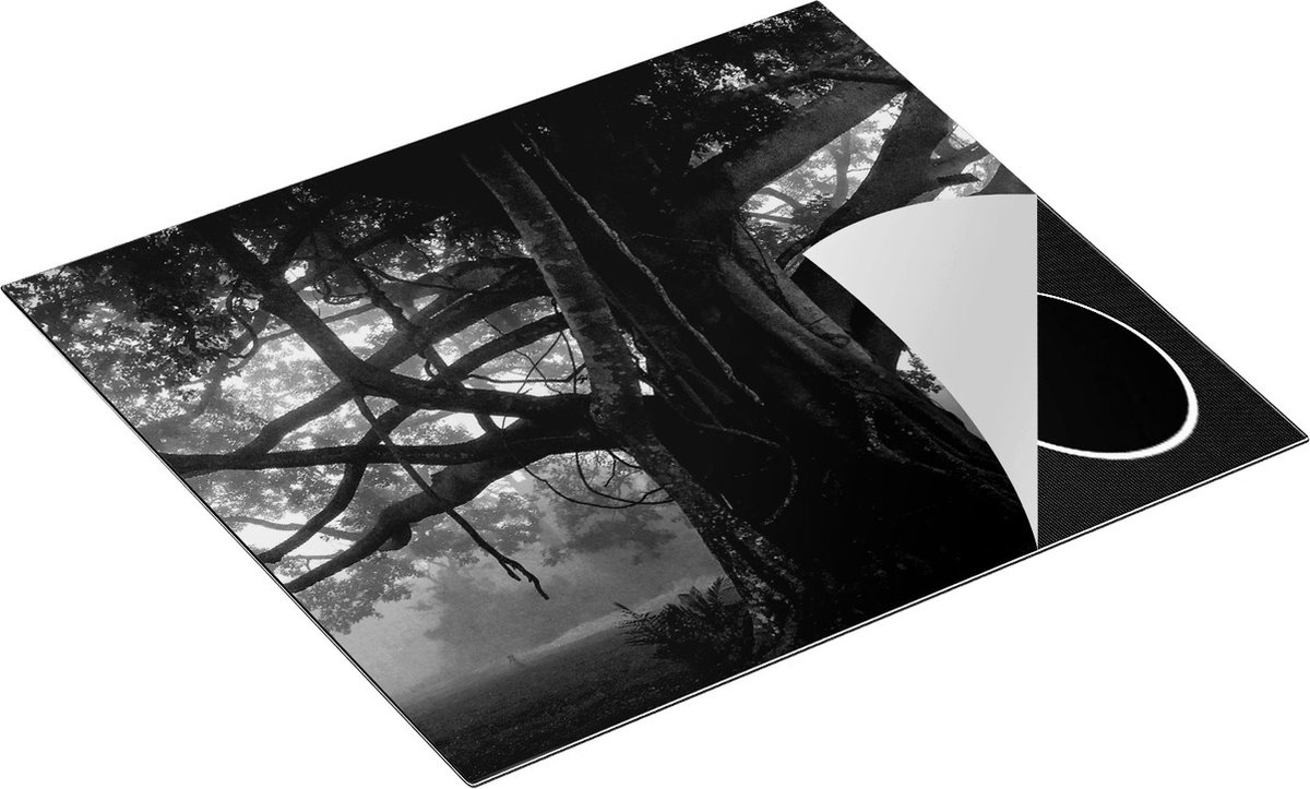 Chefcare Inductie Beschermer Grote Levensboom met Veel Takken - Zwart Wit - 59x52 cm - Afdekplaat Inductie - Kookplaat Beschermer - Inductie Mat